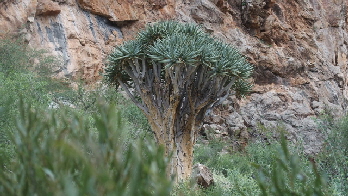 P3140901 (640x360)