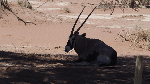 P3150964 (640x360)