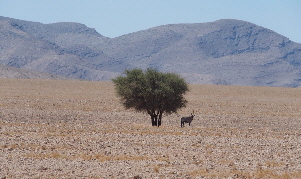 P3161019 - Kopie (640x360)