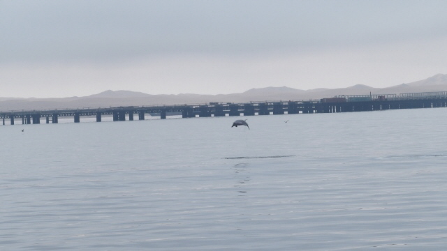 P3171059 - Kopie (640x360)