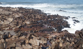 P3181131 (640x360)