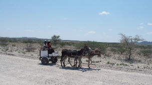 P3181152 (640x360)