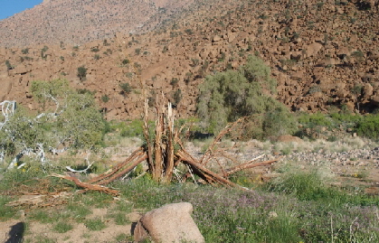 P3191202 (640x360)