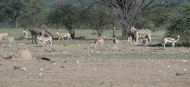 P3211332 (640x360)
