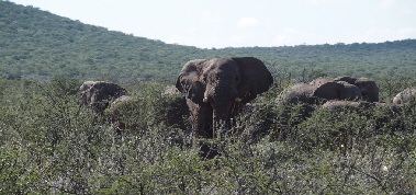 P3211337 (640x360)