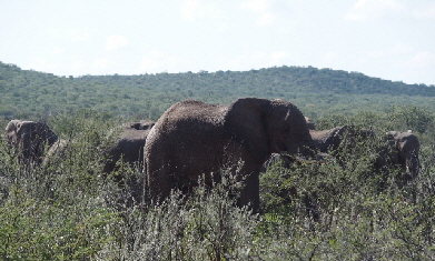 P3211338 (640x360)