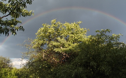 P3211399 (640x360)