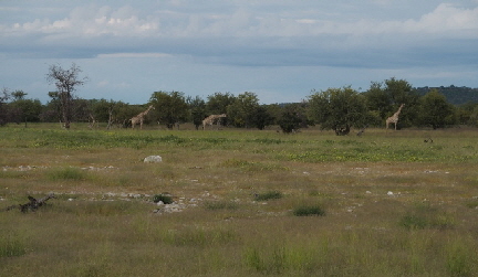 P3221408 (640x360)