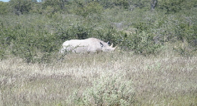 P3221439 (640x360)