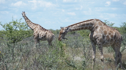 P3221451 (640x360)