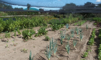P3231479 (640x360)