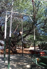 P3250037 (360x640)