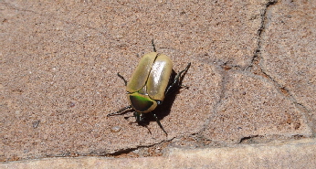 P3250042 (640x360)