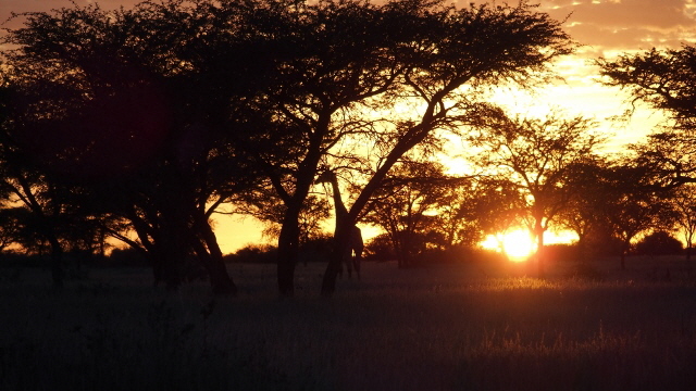 P3260123 (640x360)