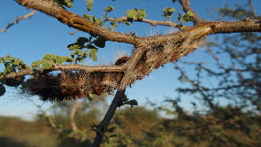 P3260130 (640x360)