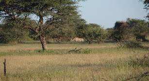 P3260138 (640x360)