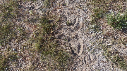 P3260148 (640x360)