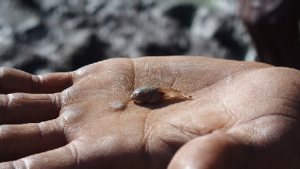 P3260150 (640x360)