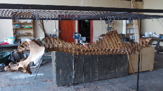 P3290277 (640x360)