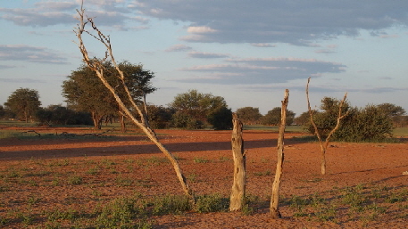 P3290289 (640x360)
