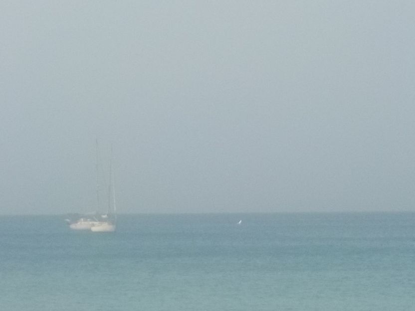 Wal gerade vor der Bucht