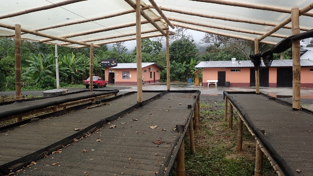 Markesinas Trockenplatz mit Dach für Rohkaffee
