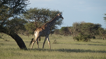 P3250057 (640x360)