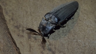 P3250104 (640x360)