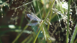 P4010398 (640x360)