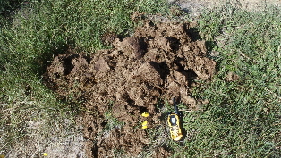 P4050576 (640x360)