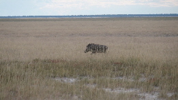 P4070667 (640x360)