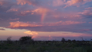 P4070698 (640x360)