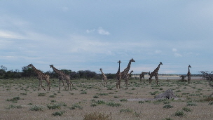 P4080733 (640x360)