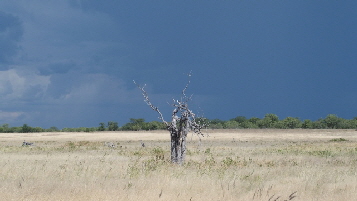 P4090833 (640x360)