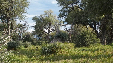 P4120985 (640x360)