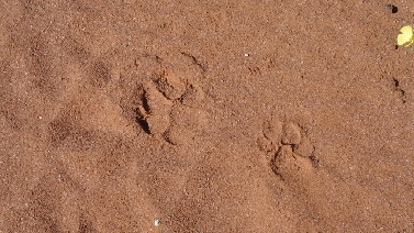 P4131016 (640x360)