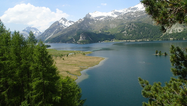 P6060015