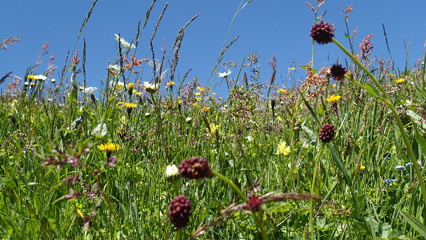 P6240153