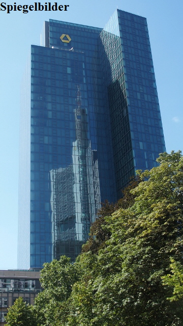 P8290022 (360x640)