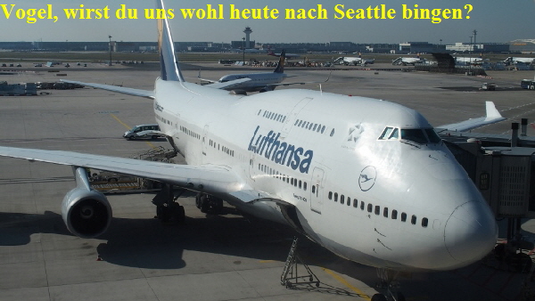 P8300040 (640x360)