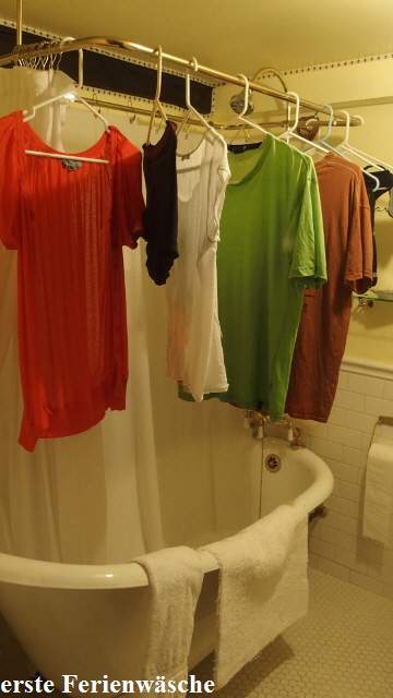 P8310086 (360x640)