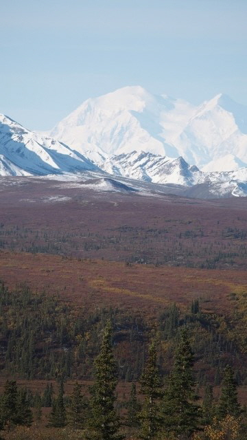 P9020141 (640x360)
