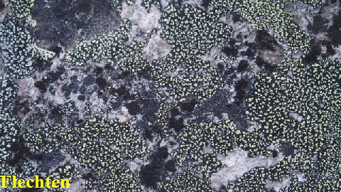 P9030199 (640x360)