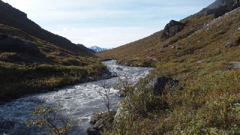P9030203 (640x360)
