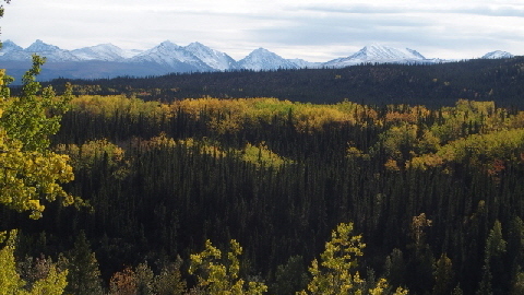 P9030209 (640x360)
