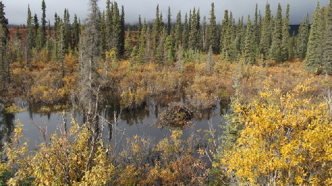P9050241 (640x360)