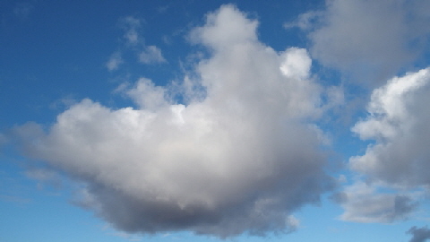 P9050288 (640x360)