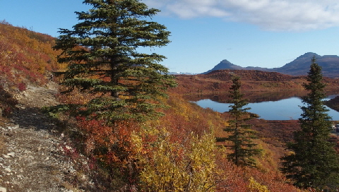 P9060300 (640x360)