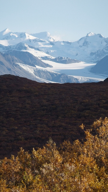 P9070336 (360x640)