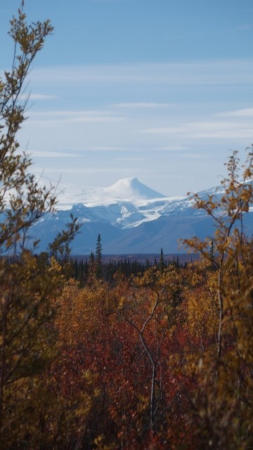 P9080367 (640x360)